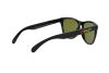 Sunglasses Oakley Frogskins OO 9013 (24-325)