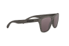 Occhiali da Sole Oakley Frogskins OO 9013 (901389)