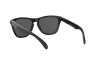 Солнцезащитные очки Oakley Frogskins OO 9013 (9013B8)