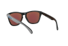 Солнцезащитные очки Oakley Frogskins OO 9013 (9013C0)