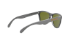 Солнцезащитные очки Oakley Frogskins OO 9013 (9013C1)