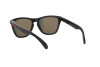 Sunglasses Oakley Frogskins OO 9013 (9013C9)