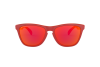 Lunettes de soleil Oakley Frogskins OO 9013 (9013E0)