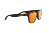 Солнцезащитные очки Oakley Frogskins Valentino Rossi OO 9013 (9013E6)