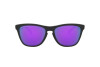 Солнцезащитные очки Oakley Frogskins OO 9013 (9013H6)