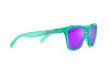 Солнцезащитные очки Oakley Frogskins OO 9013 (9013J8)