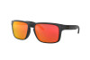 Occhiali da Sole Oakley Holbrook OO 9102 (910251)