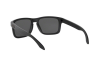 Sonnenbrille Oakley Holbrook OO 9102 (9102D6)