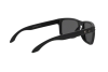 Sonnenbrille Oakley Holbrook OO 9102 (9102D6)