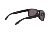 Occhiali da Sole Oakley Holbrook OO 9102 (9102E8)