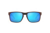 Sunglasses Oakley Holbrook OO 9102 (9102W6)