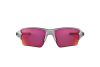 Sunglasses Oakley Flak 2.0 xl OO 9188 (918883)