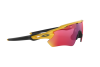 Occhiali da Sole Oakley Radar ev path OO 9208 (920869)