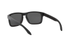 Солнцезащитные очки Oakley Holbrook (a) OO 9244 (924427)