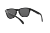 Солнцезащитные очки Oakley Frogskins (a) OO 9245 (924501)
