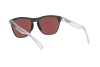 Солнцезащитные очки Oakley Frogskins lite OO 9374 (937402)