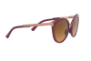 Sunglasses Oakley Top knot OO 9434 (943404)