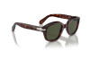 Sunglasses Persol PO 0060S (24/31)