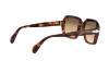 Солнцезащитные очки Persol PO 0581S (112151)