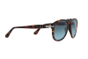 Sunglasses Persol PO 0649 (24/86)