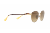 Lunettes de soleil Persol PO 2445S (107551)