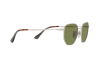Sunglasses Persol PO 2446S (518/4E)