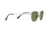 Occhiali da Sole Persol PO 2446S (518/4E)