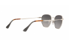 Occhiali da Sole Persol PO 2446S (518/M3)