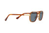 Sunglasses Persol PO 2484S (114556)