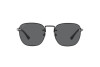 Sunglasses Persol PO 2490S (1078B1)