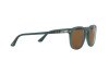 Sunglasses Persol PO 3007S (901957)