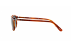 Sunglasses Persol PO 3019S (96/56)