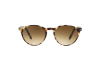 Lunettes de soleil Persol PO 3092SM (900551)