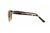 Occhiali da Sole Persol PO 3113S (102433)