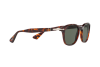 Occhiali da Sole Persol PO 3150S (24/31)