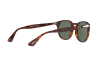 Occhiale da Sole Persol PO 3157S (24/31)