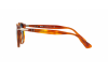 Солнцезащитные очки Persol PO 3157S (96/Q8)