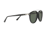 Sunglasses Persol PO 3159S (901431)