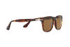 Lunettes de soleil Persol PO 3164S (24/57)