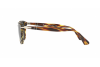 Sunglasses Persol PO 3164S (938/R5)