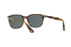 Sunglasses Persol PO 3164S (938/R5)