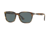 Occhiale da Sole Persol PO 3164S (938/R5)