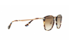 Sonnenbrille Persol PO 3165S (105851)