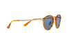 Lunettes de soleil Persol PO 3166S (960/56)