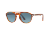 Sunglasses Persol PO 3170S (9041Q8)