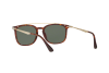 Солнцезащитные очки Persol PO 3173S (24/31)