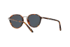 Sunglasses Persol PO 3184S (1081R5)