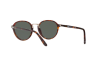 Sonnenbrille Persol PO 3184S (24/31)