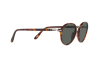 Occhiale da Sole Persol PO 3184S (24/31)