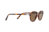 Солнцезащитные очки Persol PO 3184S (24/57)